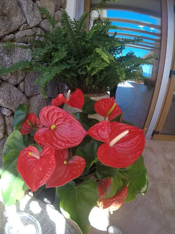 Hotel Villa Gustui Maris Cala Gonone
